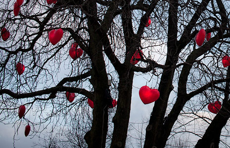 服务器攻击软件